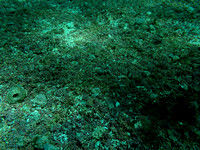emerald bay dive 2